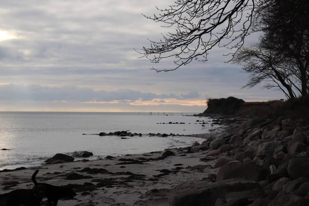 Ferienwohnung Fleckeby Schlei Fjord Light Екстер'єр фото